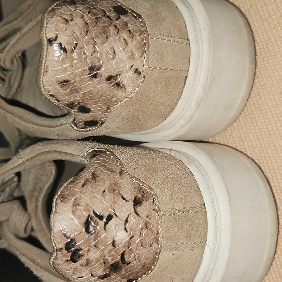 Steve Madden Charlie Suede Sneakers - Picture 3 of 5